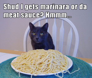 spaghetticat